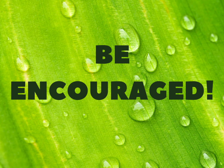 Monday, March 30, 2026