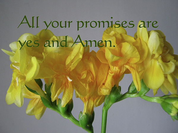 Sunday, April 12, 2026