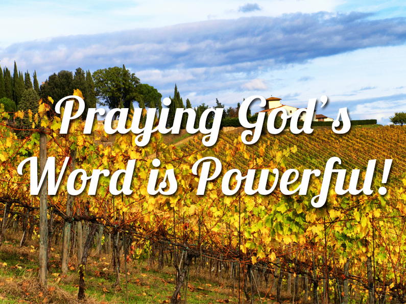 Thursday, September 18, 2025