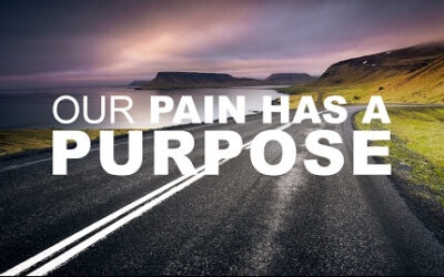 The Purpose in the Process