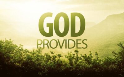 Provision With Your Name On It