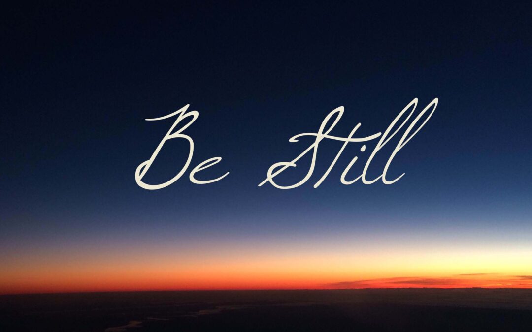 Stand Still and See