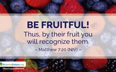 Bear Good Fruit