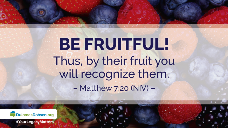 Bear Good Fruit