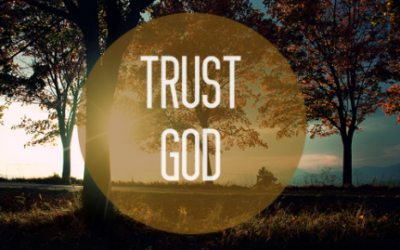 Trust Beyond Understanding