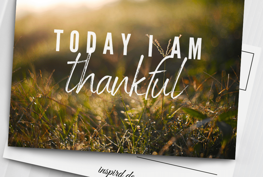 Friday, November 28, 2025